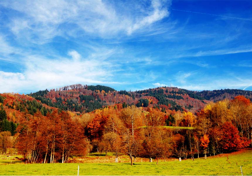 selva-de-irati-escapadas-rurales
