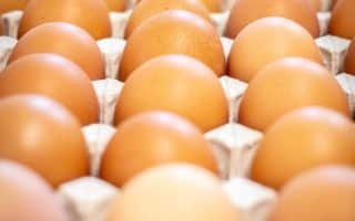 huevos camperos en salsas chovi