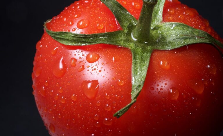 beneficios del tomate