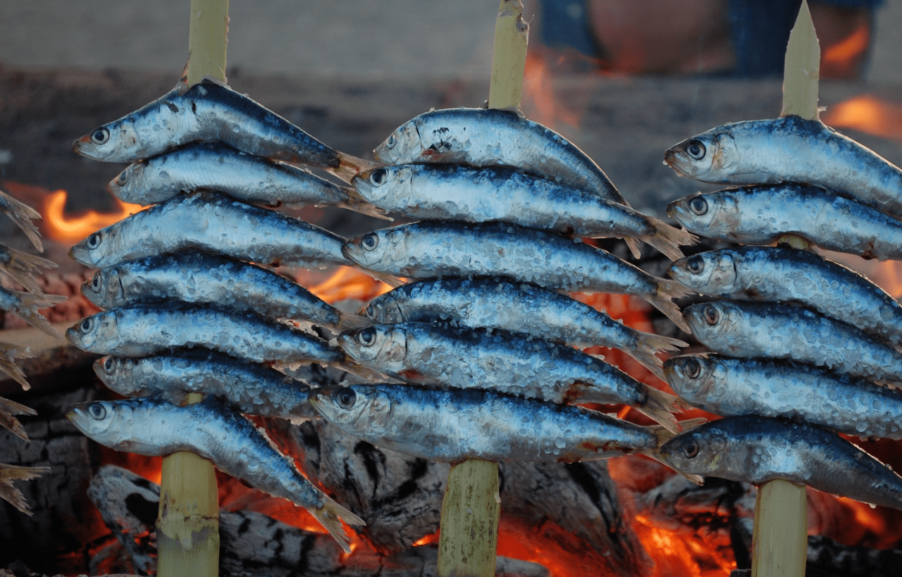 pescados de verano