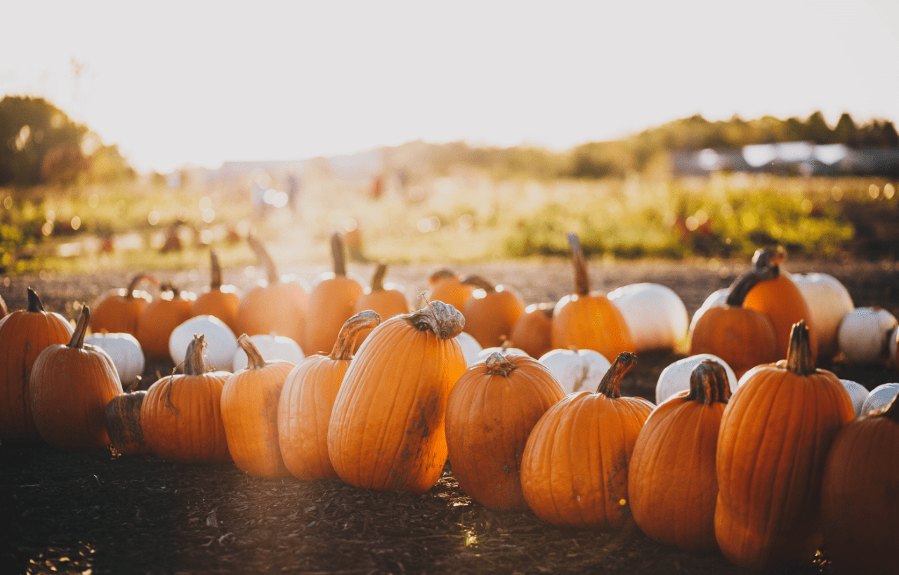 Alimentos de otoño: ¿cuáles son y qué propiedades tienen?