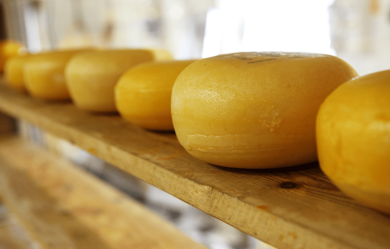 Queso de Menorca: descubre su sabor y todas sus cualidades