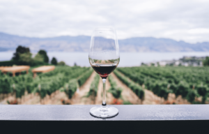 Vino Murciano: cualidades, sabor y aroma del vino de Murcia