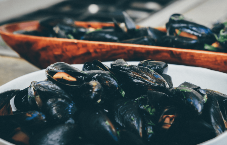 Pescado de temporada, ¿qué pescados comer en cada época?