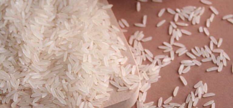 todos los tipos de arroz