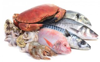 tipos de pescados y como cocinarlos