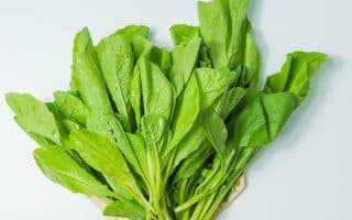 propiedades de las verduras de hoja verde