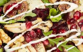 Chovi_febrero23_0065